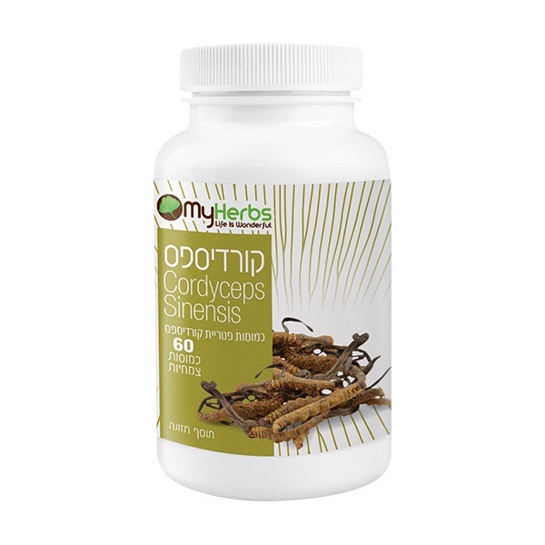 קורדיספס – Cordyceps