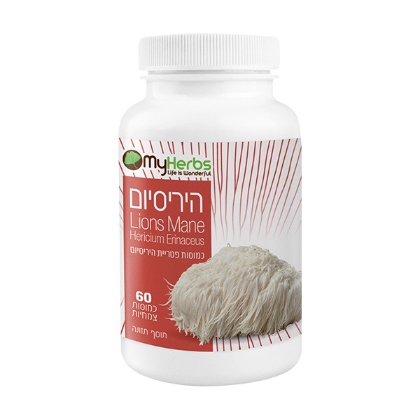HERICIUM – היריסיום