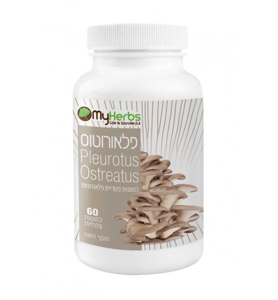 פלאורוטוס PLEUROTUS